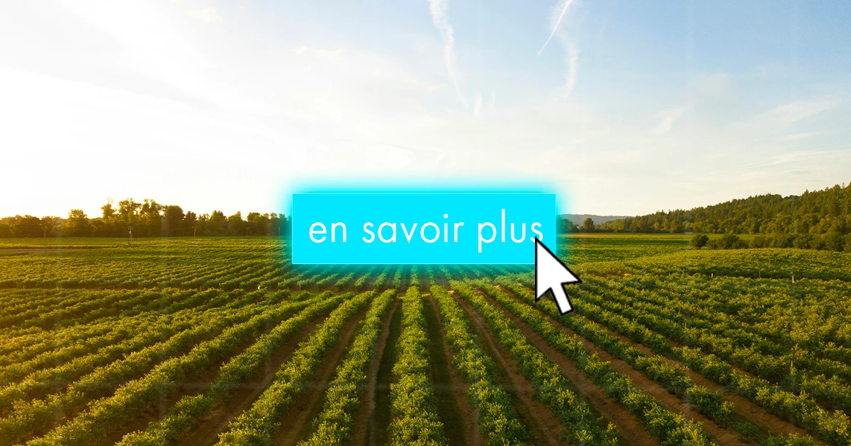 PAC : des aides relevées, mais pour combien de temps ?
